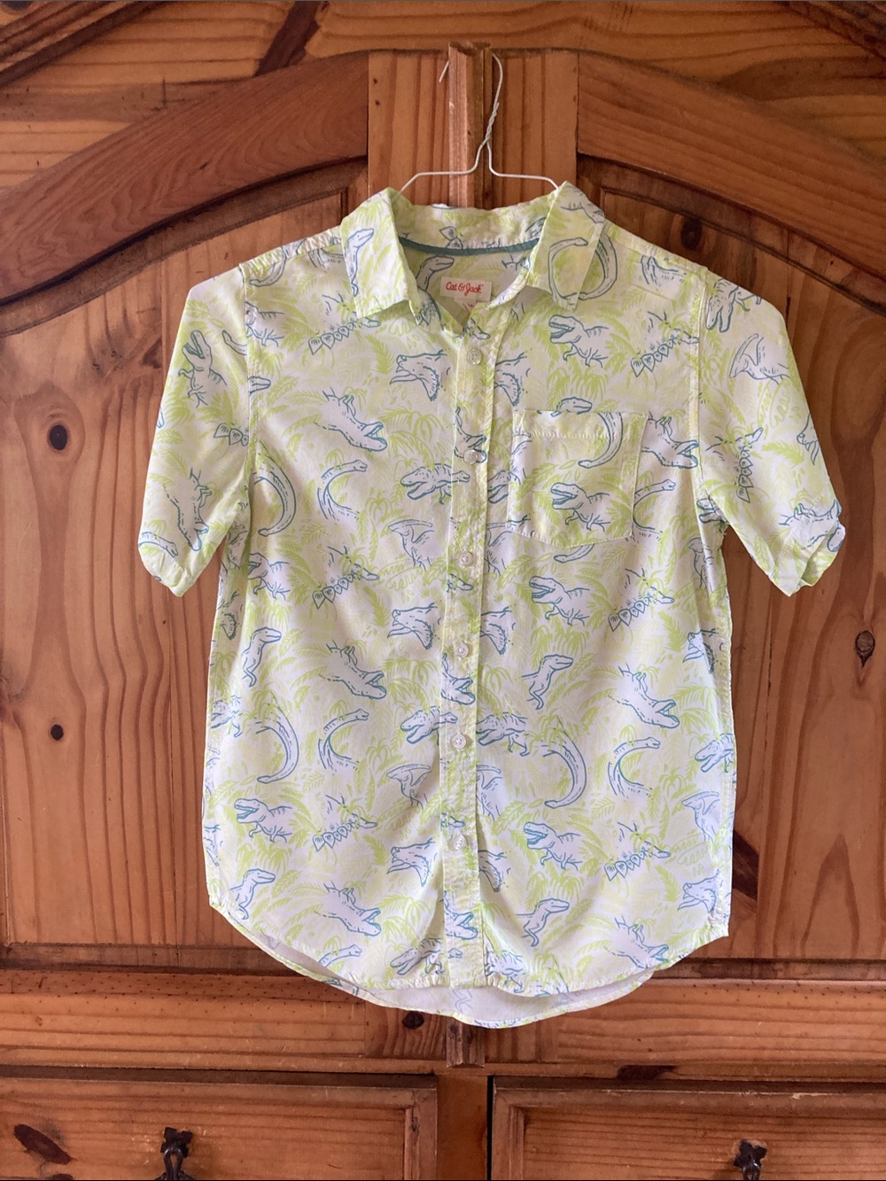 Cat & Jack green blue dinosaur short sleeve button down shirt size L (12/14)